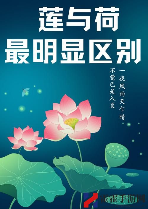 倒插莲花男女之间的寓意