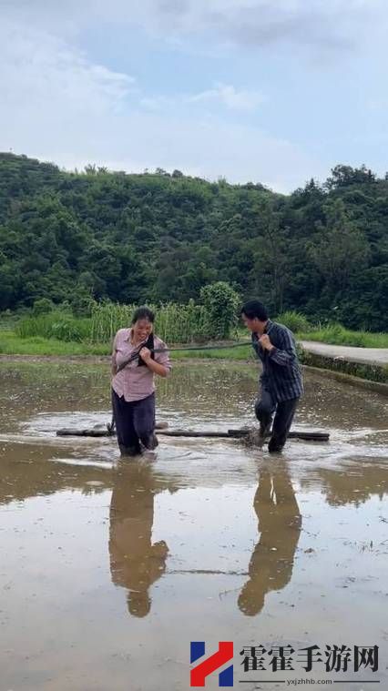 夫妻插秧38种方法有哪些