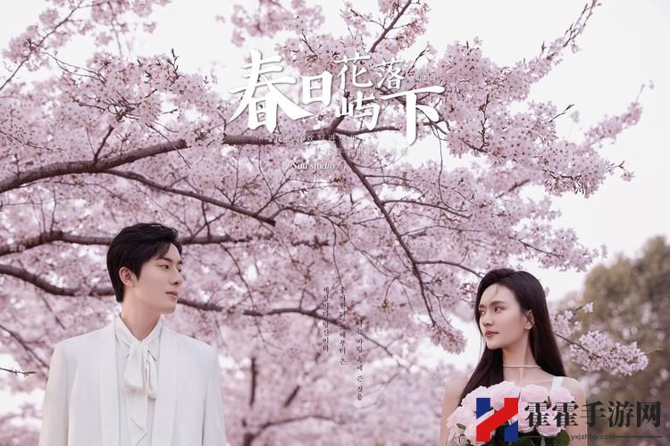 樱花免费观看电视剧版