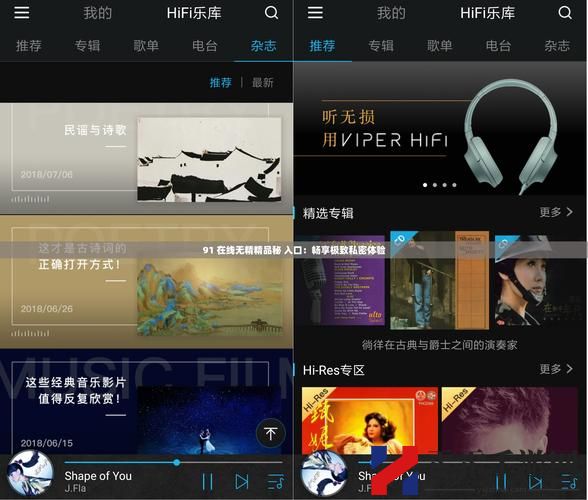 91在线码无精品秘入口