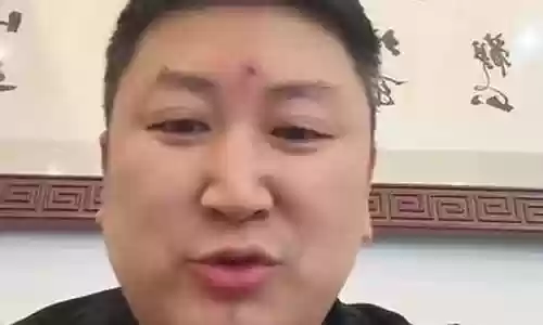 康熙盛世单挑阵容搭配最新：宠物进化路线与技能解锁指南