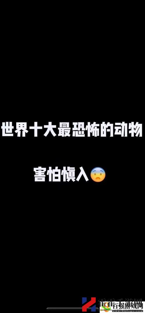 人与马畜禽corporation翻译