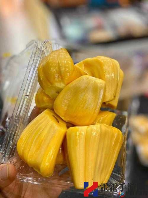 亚精产品一三三三菠萝蜜