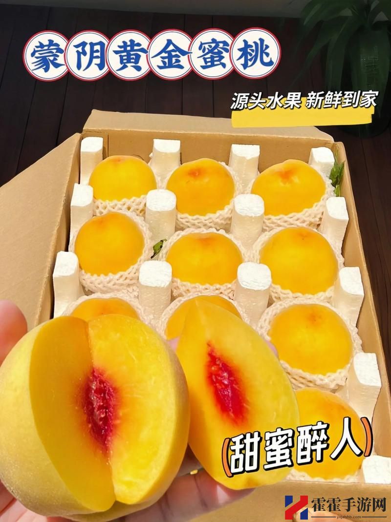 蜜桃国精产品二三三区