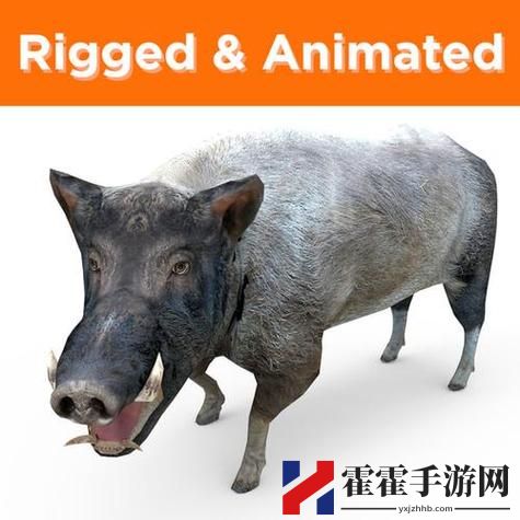 ZOOM与动物ZOOM大全美国